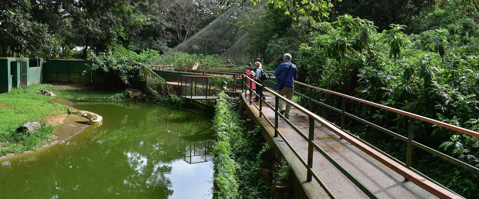 Entebbe-Eco-Full-Day-Tour